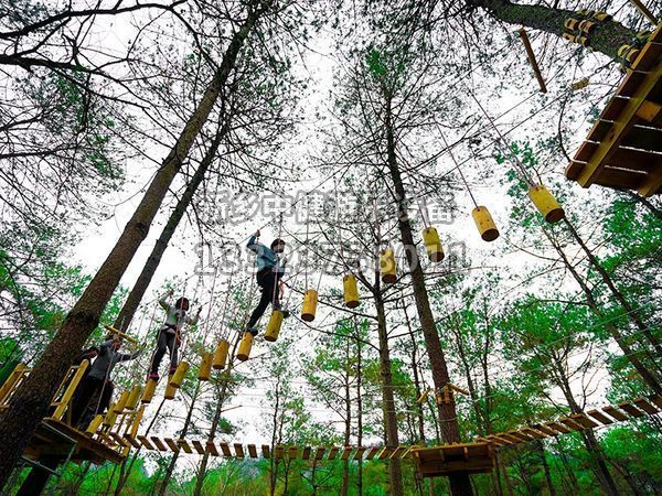叢林穿越設(shè)備的搭建對(duì)環(huán)境有影響嗎？